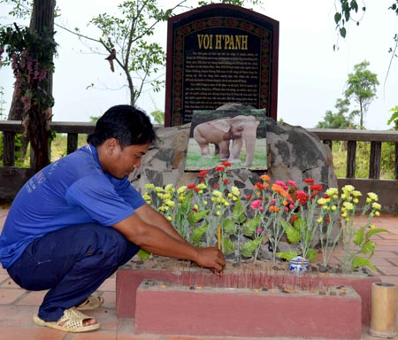 Kỳ[-]thú[-]quanh[-]khu[-]mộ[-]voi[-]kỳ[-]lạ[-]ở[-]Buôn[-]Đôn